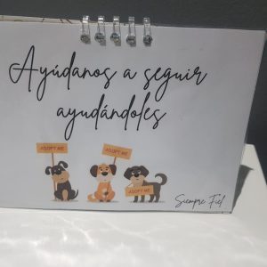 Calendario