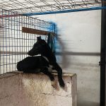 Foto 2 de Cuki