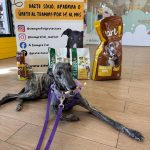 Foto 4 de Bingo