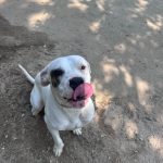 Foto 4 de Kira