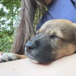 Foto 4 de Nori (Lunito)