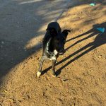 Foto 5 de Cuki