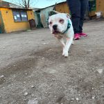 Foto 5 de Darko
