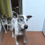 Foto 5 de Dido