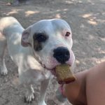 Foto 5 de Kira