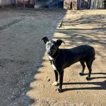 Foto 6 de Cuki
