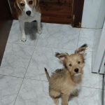 Foto 5 de Luma