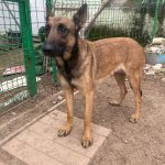 Foto 1 de Mora